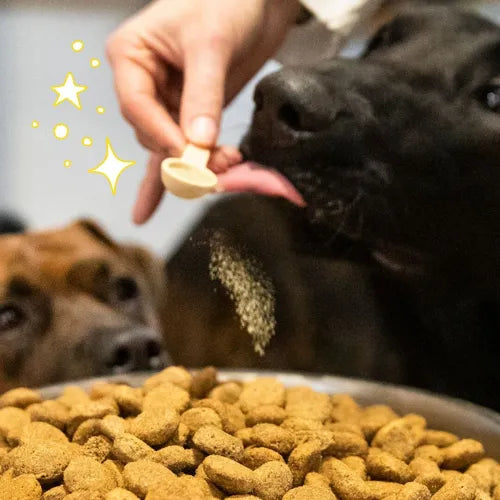 ALLURE - Compléments alimentaires pour chiens et chats - Pelage