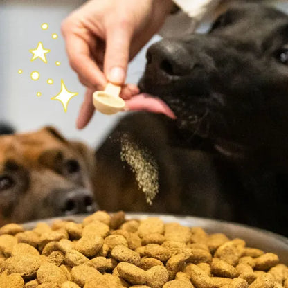 ALLURE - Compléments alimentaires pour chiens et chats - Pelage