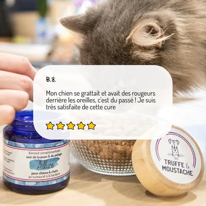 ALLURE - Compléments alimentaires pour chiens et chats - Pelage